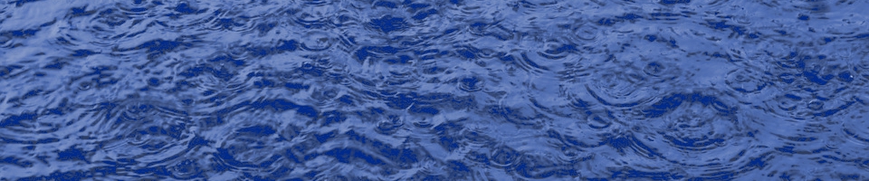 Regenpfütze Regenpfütze